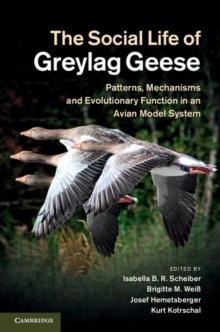 The Social Life of Greylag Geese : Patterns, Mechanisms and Evolutionary Function in an Avian Model System