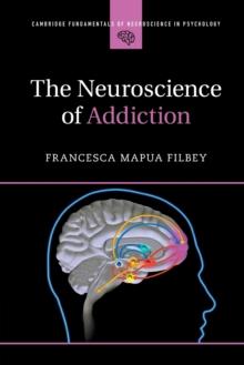 The Neuroscience Of Addiction