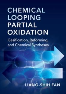 Chemical Looping Partial Oxidation : Gasification, Reforming, and Chemical Syntheses