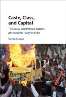 Caste, Class, and Capital : The Social and Political Origins of Economic Policy in India