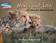 Cambridge Reading Adventures Honey and Toto: The Story of a Cheetah Family 1 Pathfinders