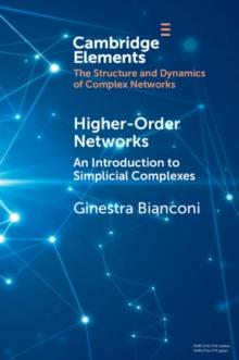 Higher-Order Networks