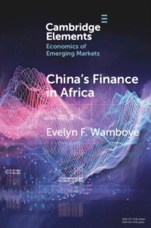 China's Finance in Africa : What and How Much?