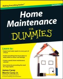 Home Maintenance For Dummies