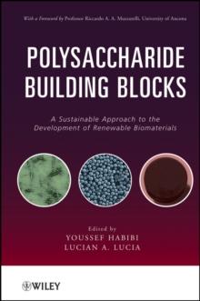 Polysaccharide Building Blocks : A Sustainable Approach to the Development of Renewable Biomaterials