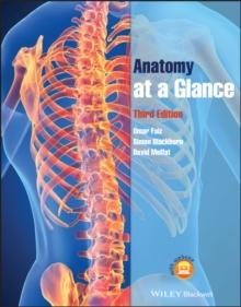 Anatomy at a Glance