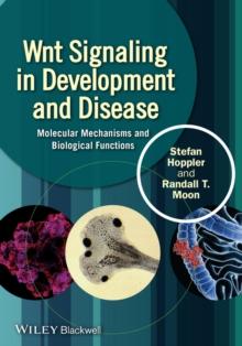 Wnt Signaling in Development and Disease : Molecular Mechanisms and Biological Functions