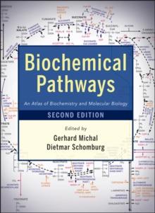 Biochemical Pathways : An Atlas of Biochemistry and Molecular Biology