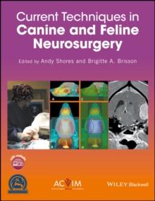 Current Techniques in Canine and Feline Neurosurgery