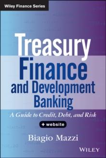 Treasury Finance and Development Banking : A Guide to Credit, Debt, and Risk