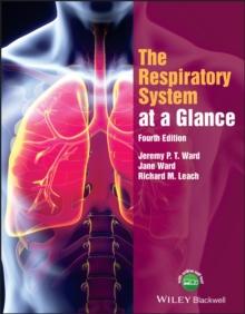 The Respiratory System at a Glance