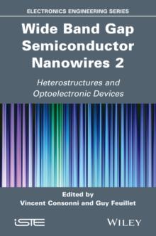 Wide Band Gap Semiconductor Nanowires 2 : Heterostructures and Optoelectronic Devices