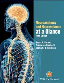 Neuroanatomy and Neuroscience at a Glance