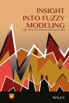 Insight into Fuzzy Modeling