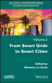 From Smart Grids to Smart Cities : New Challenges in Optimizing Energy Grids