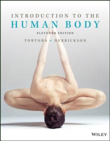 Introduction to the Human Body