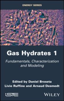 Gas Hydrates 1 : Fundamentals, Characterization and Modeling