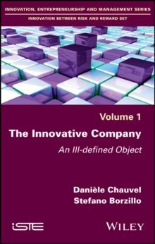 The Innovative Company : An Ill-defined Object