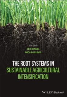 The Root Systems in Sustainable Agricultural Intensification