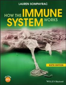 How the Immune System Works