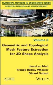 Geometric and Topological Mesh Feature Extraction for 3D Shape Analysis