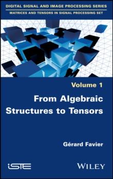 From Algebraic Structures to Tensors