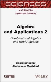 Algebra and Applications 2 : Combinatorial Algebra and Hopf Algebras