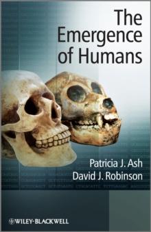 The Emergence of Humans : An Exploration of the Evolutionary Timeline