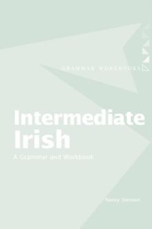 Intermediate Irish: A Grammar and Workbook