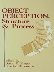 Object Perception : Structure and Process