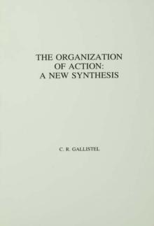 The Organization of Action : A New Synthesis