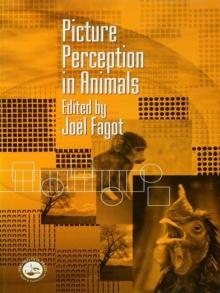 Picture Perception in Animals