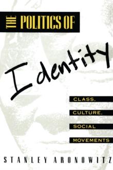 The Politics of Identity : Class, Culture, Social Movements