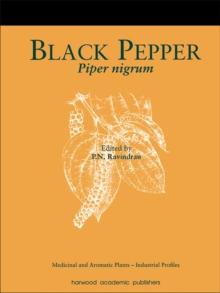 Black Pepper : Piper nigrum