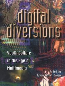 Digital Diversions : Youth Culture in the Age of Multimedia