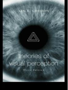 Theories of Visual Perception