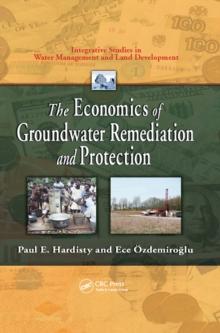 The Economics of Groundwater Remediation and Protection