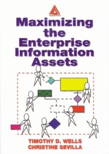 Maximizing The Enterprise Information Assets