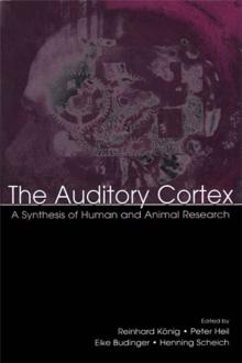 The Auditory Cortex : A Synthesis of Human and Animal Research