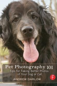 Pet Photography 101 : Tips for taking better photos of your dog or cat