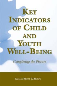 Key Indicators of Child and Youth Well-Being : Completing the Picture