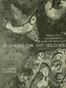 A Shadow of Glory : Reading the New Testament After the Holocaust