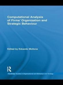 Computational Analysis of Firms' Organization and Strategic Behaviour