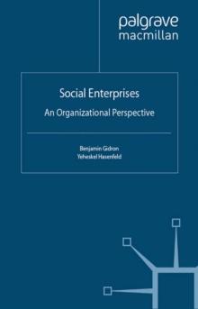 Social Enterprises : An Organizational Perspective