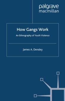 How Gangs Work : An Ethnography of Youth Violence