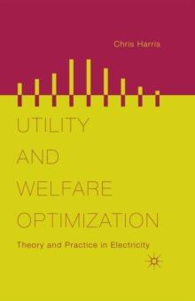 Utility and Welfare Optimization : Theory and Practice in Electricity