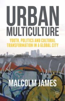 Urban Multiculture : Youth, Politics and Cultural Transformation in a Global City