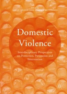 Domestic Violence : Interdisciplinary Perspectives on Protection, Prevention and Intervention