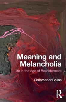 Meaning and Melancholia : Life in the Age of Bewilderment