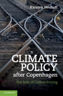 Climate Policy after Copenhagen : The Role of Carbon Pricing